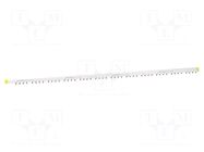 Busbar; Poles: 4; Urated: 415V; 100A; No.of mod: 57; Uinsul: 500V SCHNEIDER ELECTRIC