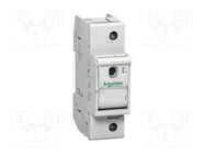 Fuse disconnector; D01; for DIN rail mounting; 63A; Poles: 1 SCHNEIDER ELECTRIC