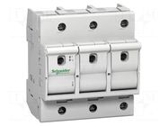 Fuse disconnector; D02; for DIN rail mounting; 63A; Poles: 3 SCHNEIDER ELECTRIC