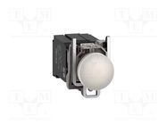 Control lamp; 22mm; Harmony XB4; -25÷70°C; Illumin: LED; Ø22mm SCHNEIDER ELECTRIC