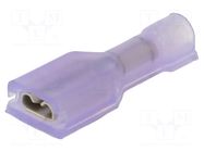 Terminal: flat; purple; Plating: tinned; crimped; straight; FASTON TE Connectivity