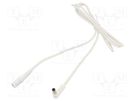 Cable; 1x1mm2; DC 5,5/2,5 plug,DC 5,5/2,5 socket; angled; white WEST POL