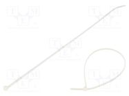 Cable tie; L: 203mm; W: 2.3mm; polyamide ABB