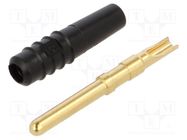 Connector: 2mm banana; plug; 10A; 30VAC; 60VDC; black; gold-plated STÄUBLI