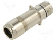 M23 connector 7.R47.408.000 HUMMEL