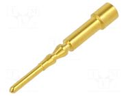 Contact; male; 1mm; gold-plated; 0.14÷1mm2; crimped; EPIC LAPP