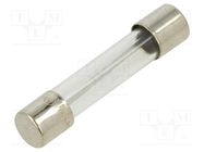 Fuse: fuse; quick blow; 20A; 32VAC; glass; 6.3x32mm; brass; FSA; bulk 