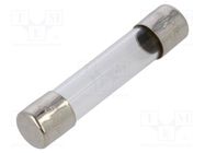 Fuse: fuse; quick blow; 250mA; 250VAC; glass; 6.3x32mm; brass; FSA OPTIFUSE