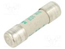 Fuse: fuse; aM,time-lag; 6A; 500VAC; 10x38mm MERSEN
