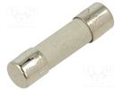 Fuse: fuse; time-lag; 10A; 250VAC; ceramic,cylindrical; 5x20mm BEL FUSE