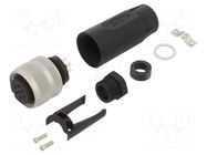 connector Connector: circular AMPHENOL