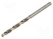 Drill bit; for metal; Ø: 4mm; high speed steel; 2pcs; blister ALPEN-MAYKESTAG