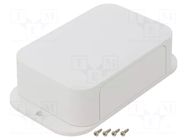 Enclosure: with panel; with fixing lugs; PFF; X: 85.3mm; Y: 149.3mm TAKACHI