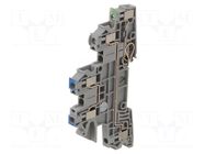 Splice terminal: rail; for DIN rail mounting; screw terminal PHOENIX CONTACT