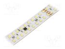 LED tape; white cold; 2835; 24V; LED/m: 240; 20mm; white PCB; IP20 IPIXEL LED