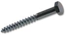 COACH SCREW M6X30, PK25