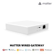 Išmanių namų MATTER komunikacijos stotelė, ZigBee BRIDGE, TUYA / Smart Life