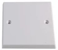 BLANK PLATE, 1G