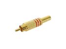 RCA PLUG MALE - GOLD - RED