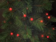 Cherry Light LED - 12 m - 120 red lamps - green wire - 24 V
