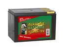 Dry battery Alkaline, 9 V, 120 Ah, small case