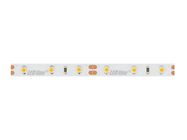 LED strip 300/5m SMD 12V BLUE 4,8W IP20 8mm 5m PRIME