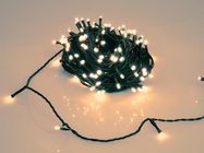 Novalight LED - 24 m - 160 arizona white lamps - green wire