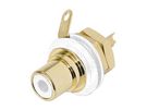 REAN - PHONO RECEPTACLE (RCA) - GOLD PLATED CONTACTS - WHITE