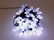 Strawberry Light LED - 12 m - 120 white lamps - green wire - 24 V