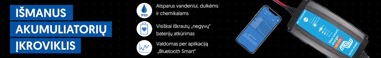 smart įkroviklis