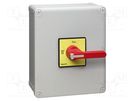 Main emergency switch-disconnector; Poles: 3; flush mounting SCHNEIDER ELECTRIC