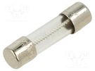 Fuse: fuse; time-lag; 5A; 250VAC; cylindrical,glass; 5x20mm; brass BEL FUSE