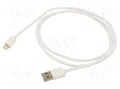 Cable; USB 2.0; Apple Lightning plug,USB A plug; nickel plated AKYGA