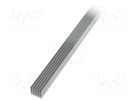 Heatsink: extruded; grilled; natural; L: 1000mm; W: 41.6mm; H: 34mm SEIFERT ELECTRONIC