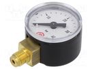 Manometer; 0÷40bar; 40mm; non-aggressive liquids,inert gases PNEUMAT