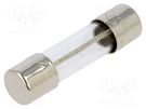 Fuse: fuse; time-lag; 2A; 250VAC; cylindrical,glass; 5x20mm; brass BEL FUSE