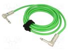 Cable; Jack 6.3mm 2pin angled plug,both sides; 3m; green; 0.5mm2 TASKER