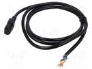 Cable; 3x18AWG; IEC C13 female,wires; PVC; 2m; black; 10A; 125V Qualtek Electronics
