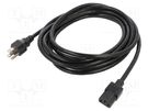 Cable; 3x18AWG; IEC C13 female,NEMA 5-15 (B) plug; PVC; 4.6m Qualtek Electronics