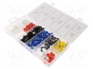 Kit: bootlace ferrules; insulated; crimped; for cable; 685pcs. YATO
