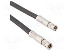 Cable; 75Ω; BNC HD męski male,both sides; straight; 3m AMPHENOL RF