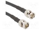 Cable; 75Ω; BNC male,both sides; straight; 3m AMPHENOL RF