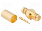 Plug; RP-SMA; male,reverse; straight; 50Ω; soldering,crimped; PTFE AMPHENOL RF