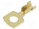 Tip: ring; M5; 1÷2.5mm2; crimped; for cable; straight; brass; bulk IMP