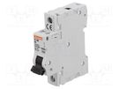 Circuit breaker; 230VAC; Inom: 6A; Poles: 1; for DIN rail mounting LOVATO ELECTRIC