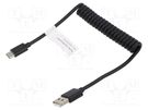 Cable; Power Delivery (PD),coiled,USB 2.0; nickel plated; black DIGITUS