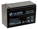 Re-battery: acid-lead; 12V; 7Ah; AGM; maintenance-free; 2600g B.B. Battery