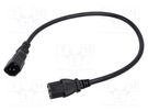 Cable; 3x18AWG; IEC C13 female,IEC C14 male; PVC; 0.5m; black; 10A Qualtek Electronics