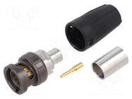 Plug; straight NEUTRIK