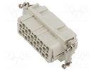 Connector: HDC; contact insert; male; EPIC H-D; PIN: 40; 40+PE; 10A LAPP